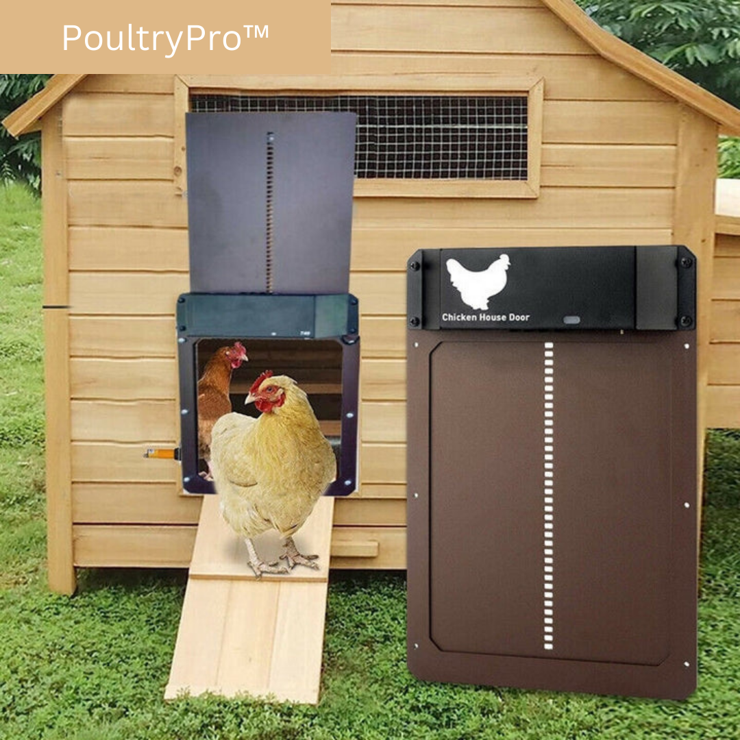 PoultryPro | Sørg for at dine kyllinger er sikkert indkvarteret