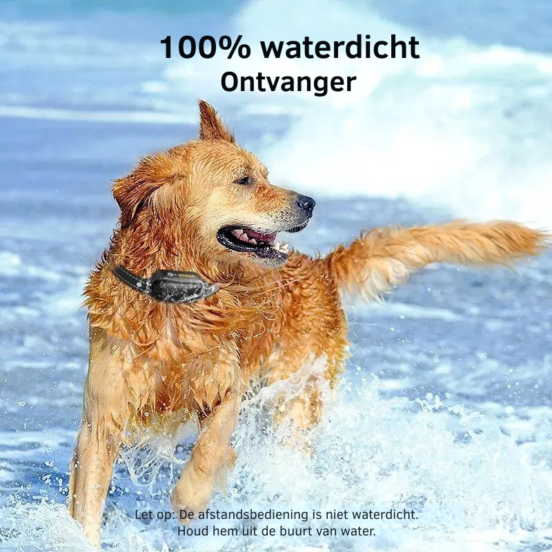 ProTrain – Genopladeligt vandtæt hundetræningshalsbånd