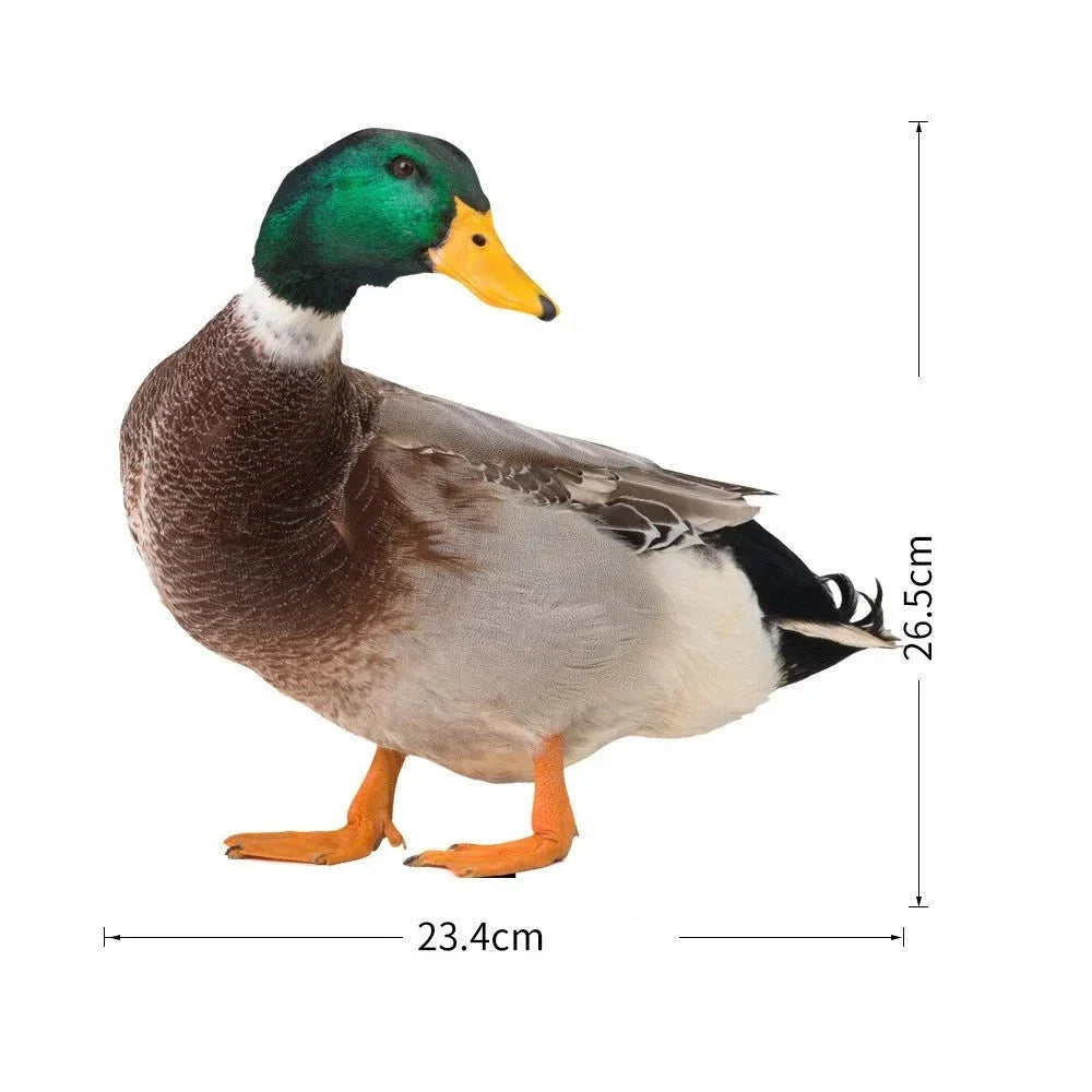 QuackCharm - Realistisk dobbeltsidet gråand-skulptur til haveindretning
