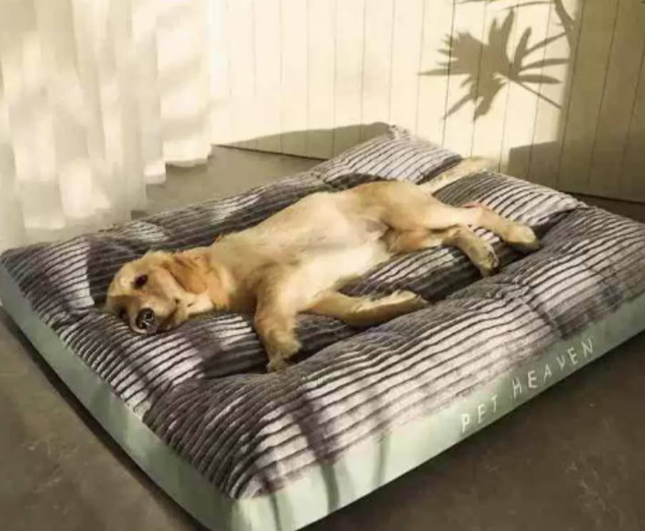 FlauschNest Ortopædisk Hundeseng – Blød & Støttende til afslappende nætter