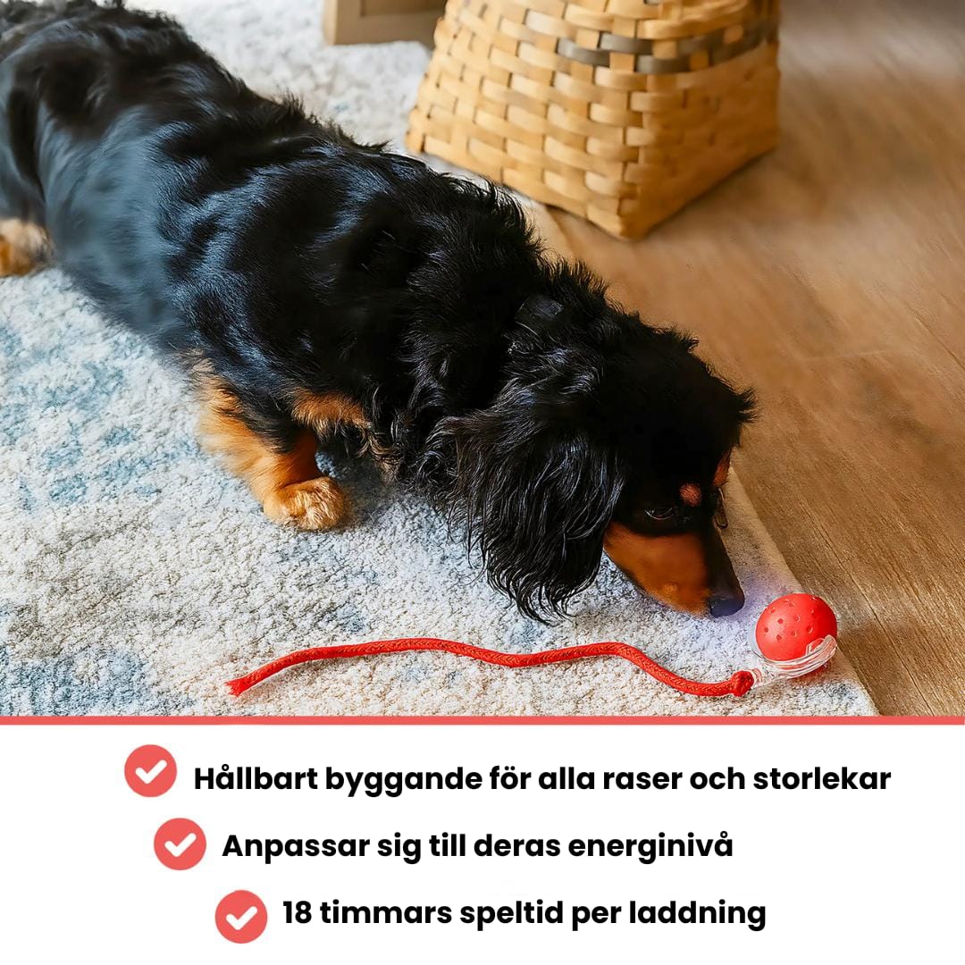 PawTail | Speedy Tail Hundejacke Let Vandafvisende Åndbar