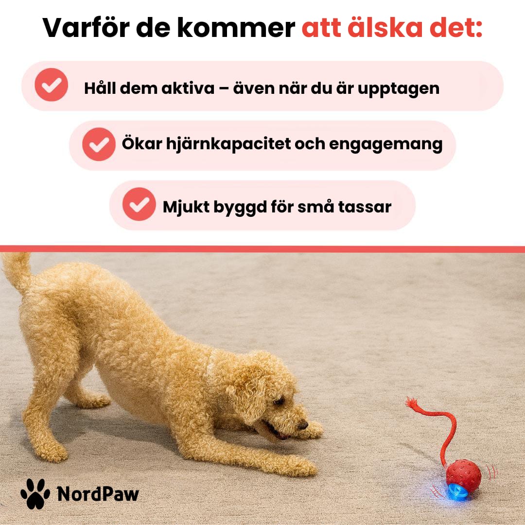 PawTail | Speedy Tail Hundejacke Let Vandafvisende Åndbar