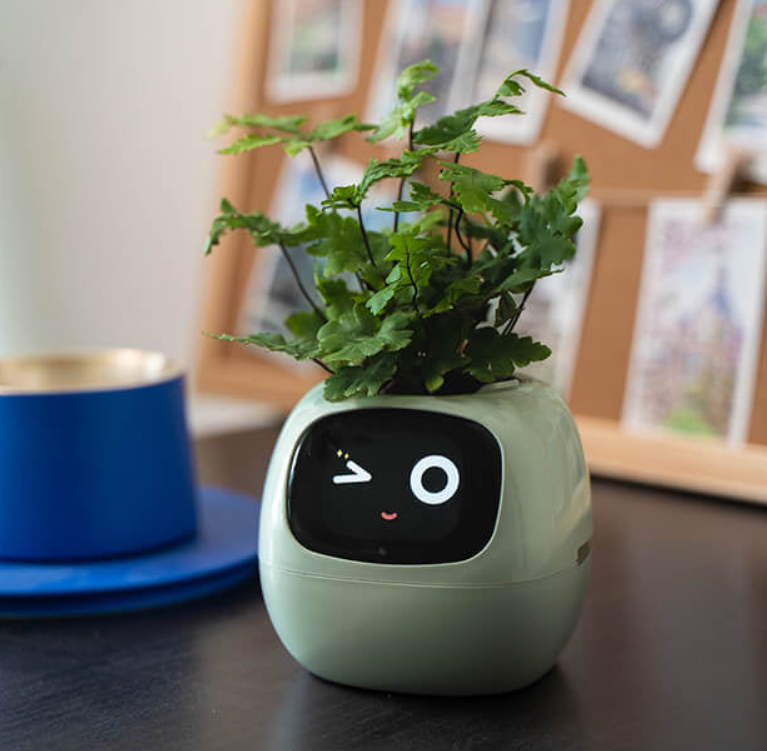 EmojiPlant | Kreativ Emoji Blomsterkrukke-zarada.dk