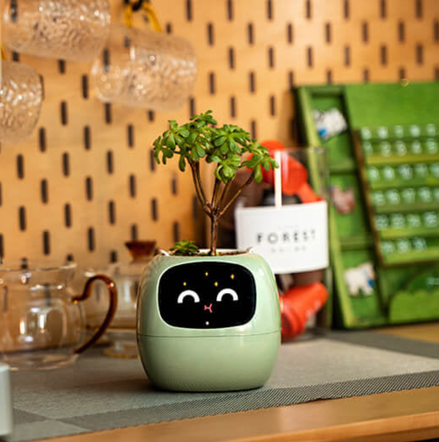 EmojiPlant | Kreativ Emoji Blomsterkrukke-zarada.dk
