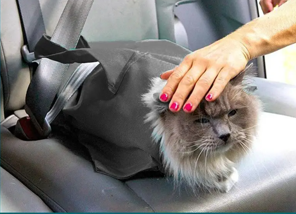 PurrfectTravel | Plejetaske og Rejsetaske-zarada.dk