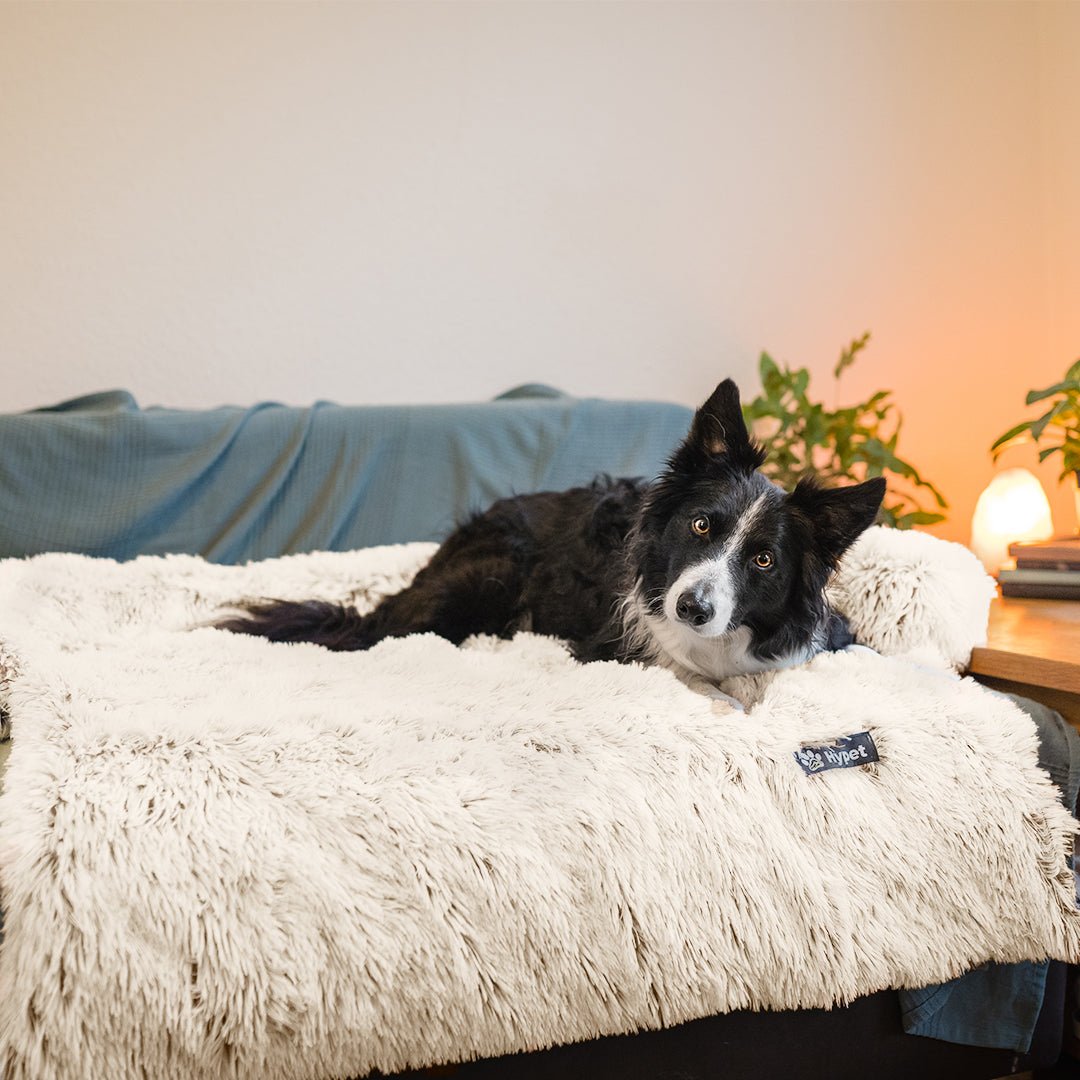 PawsyPillow | Vaskbar, varm og vandtæt efterårs pude til din hund-zarada.dk