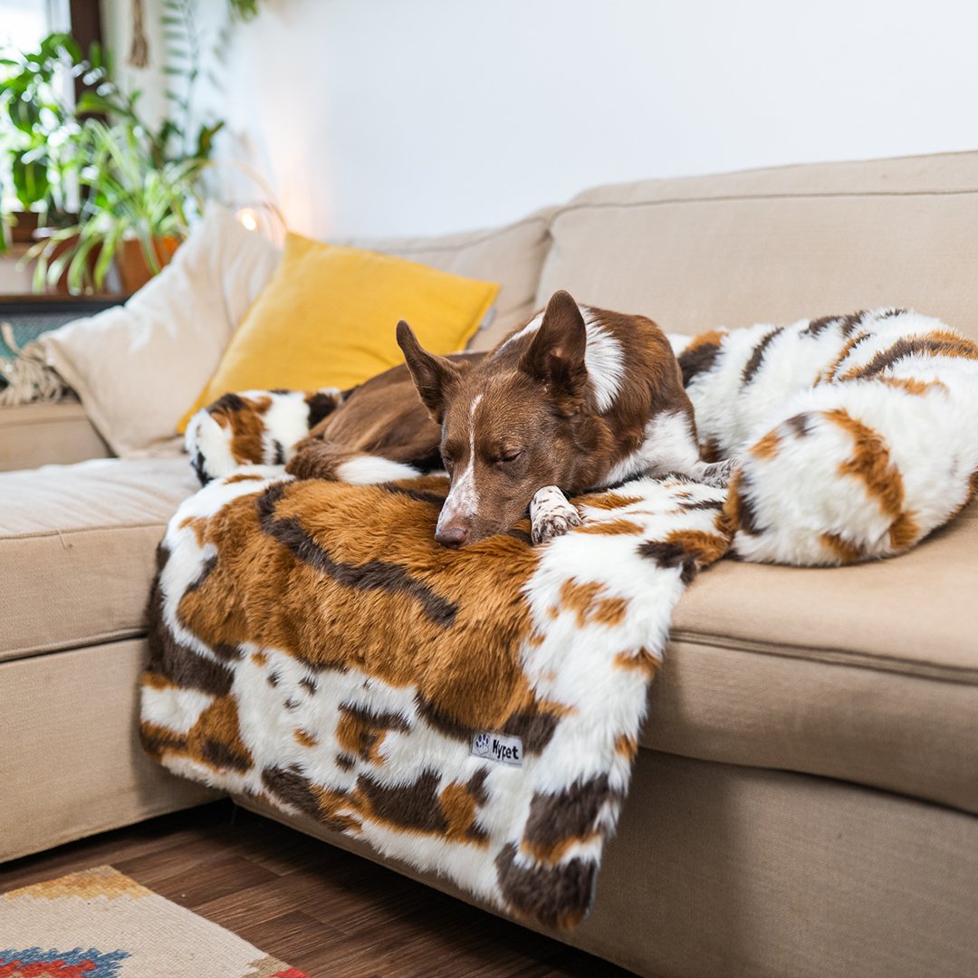 PawsyPillow | Vaskbar, varm og vandtæt efterårs pude til din hund-zarada.dk