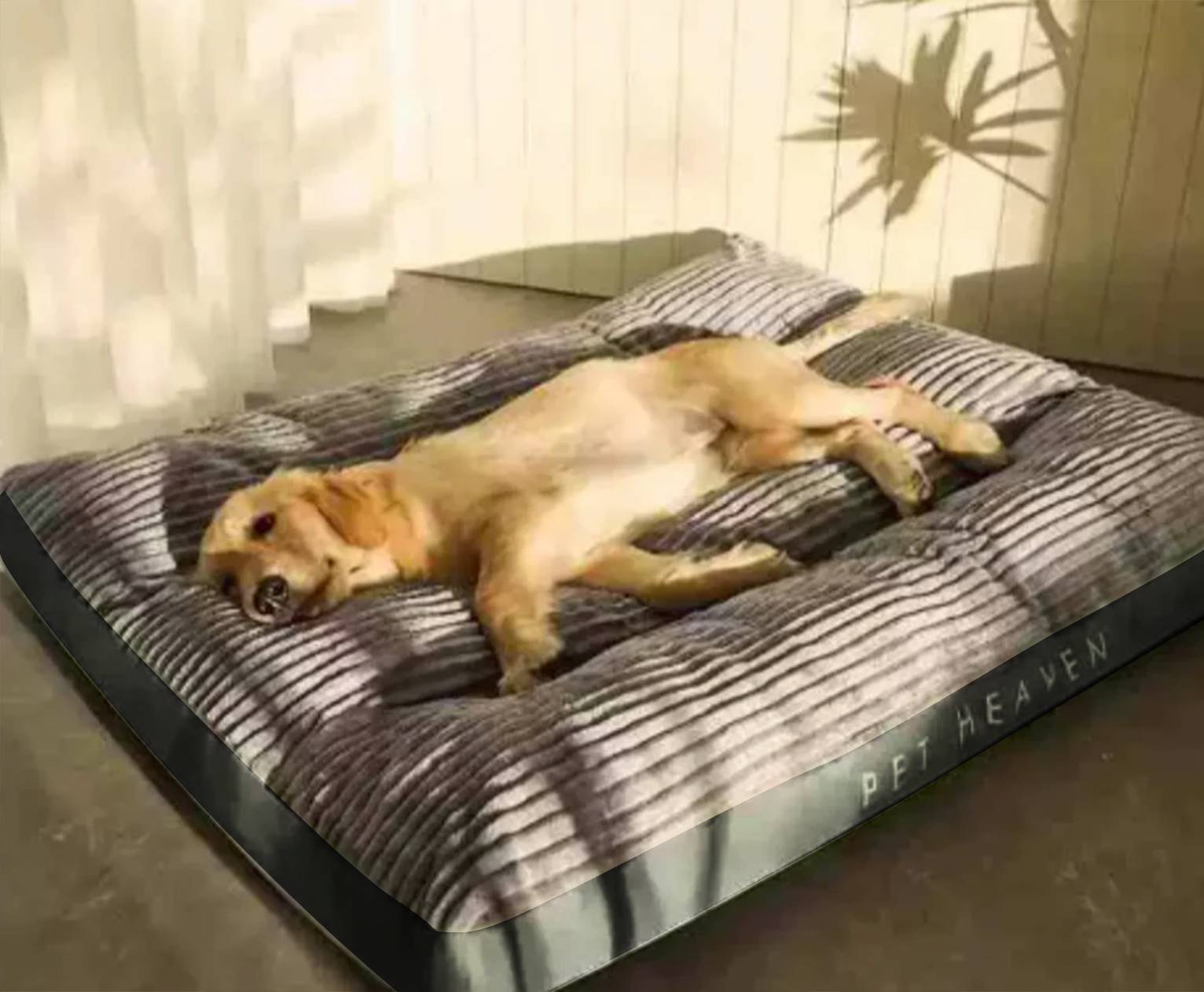 FlauschNest Ortopædisk Hundeseng – Blød & Støttende til afslappende nætter