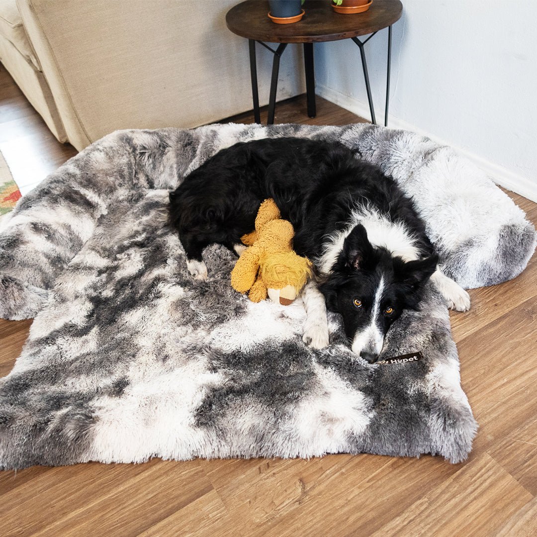 PawsyPillow | Vaskbar, varm og vandtæt efterårs pude til din hund-zarada.dk