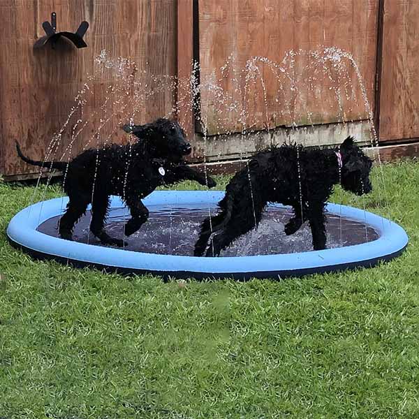 DogSplash | Lang leve sjovet for din firbenede ven!-zarada.dk
