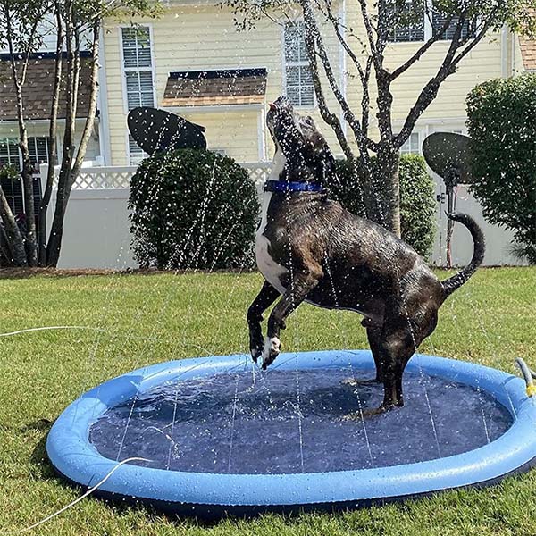 DogSplash | Lang leve sjovet for din firbenede ven!-zarada.dk