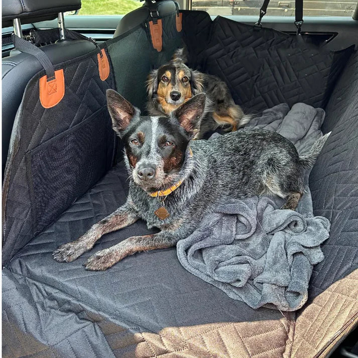 ComfortCarrier | Hvor bilbeskyttelse og komfort til din hund mødes | +Sikker hundesnor