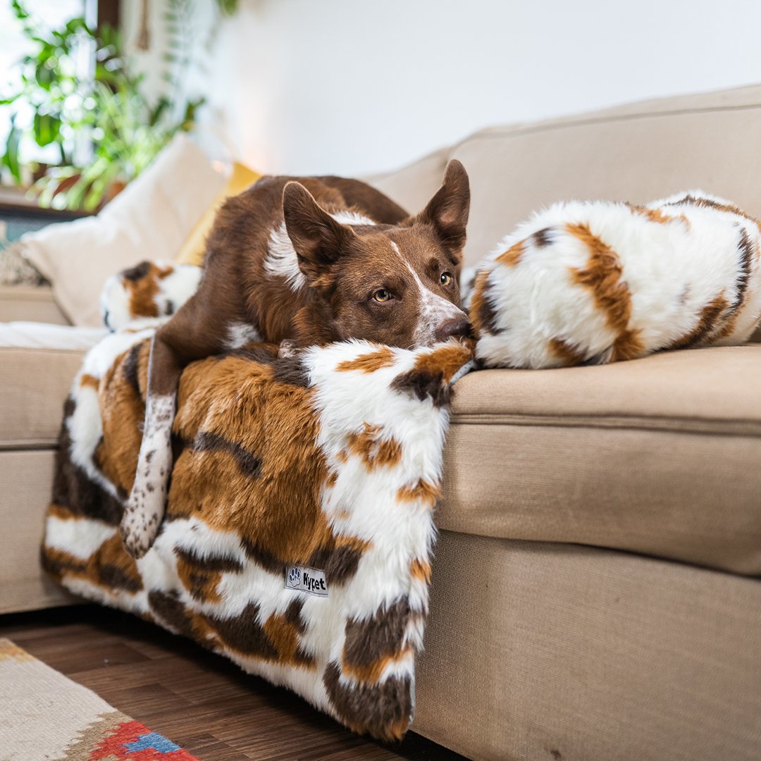 PawsyPillow | Vaskbar, varm og vandtæt efterårs pude til din hund-zarada.dk