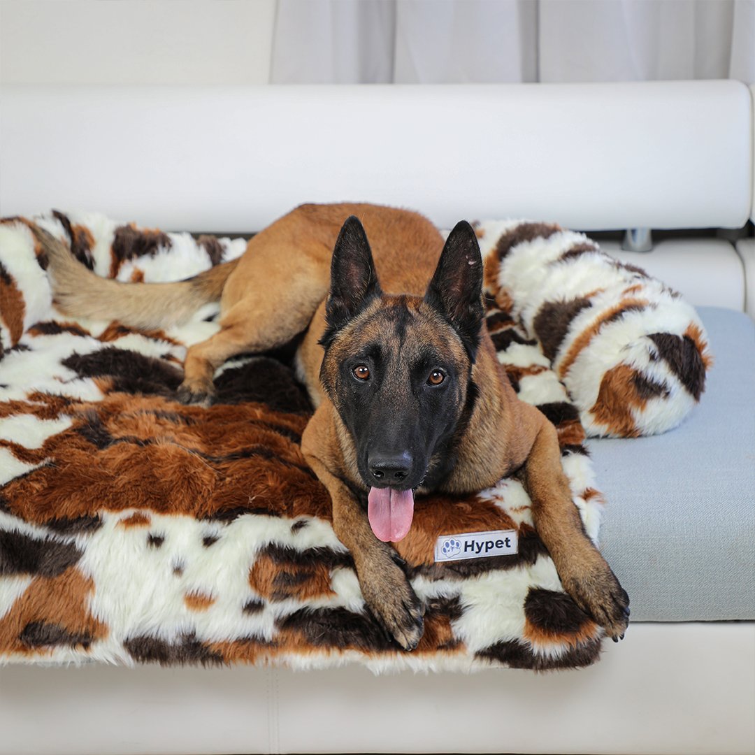 PawsyPillow | Vaskbar, varm og vandtæt efterårs pude til din hund-zarada.dk