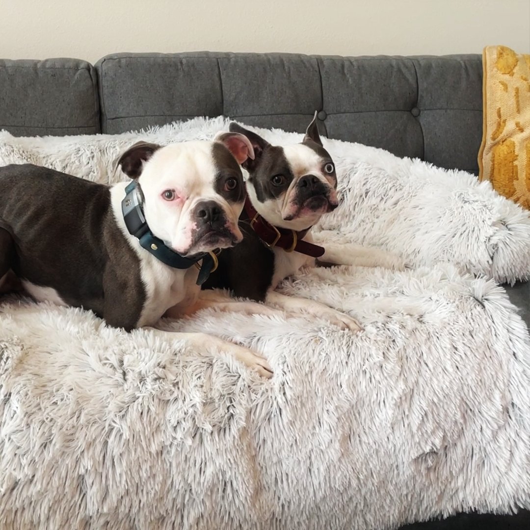 PawsyPillow | Vaskbar, varm og vandtæt efterårs pude til din hund-zarada.dk