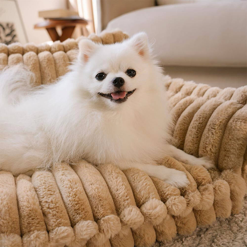 PawCushion | vaskbar ortopædisk hundesofa til kæledyr-zarada.dk