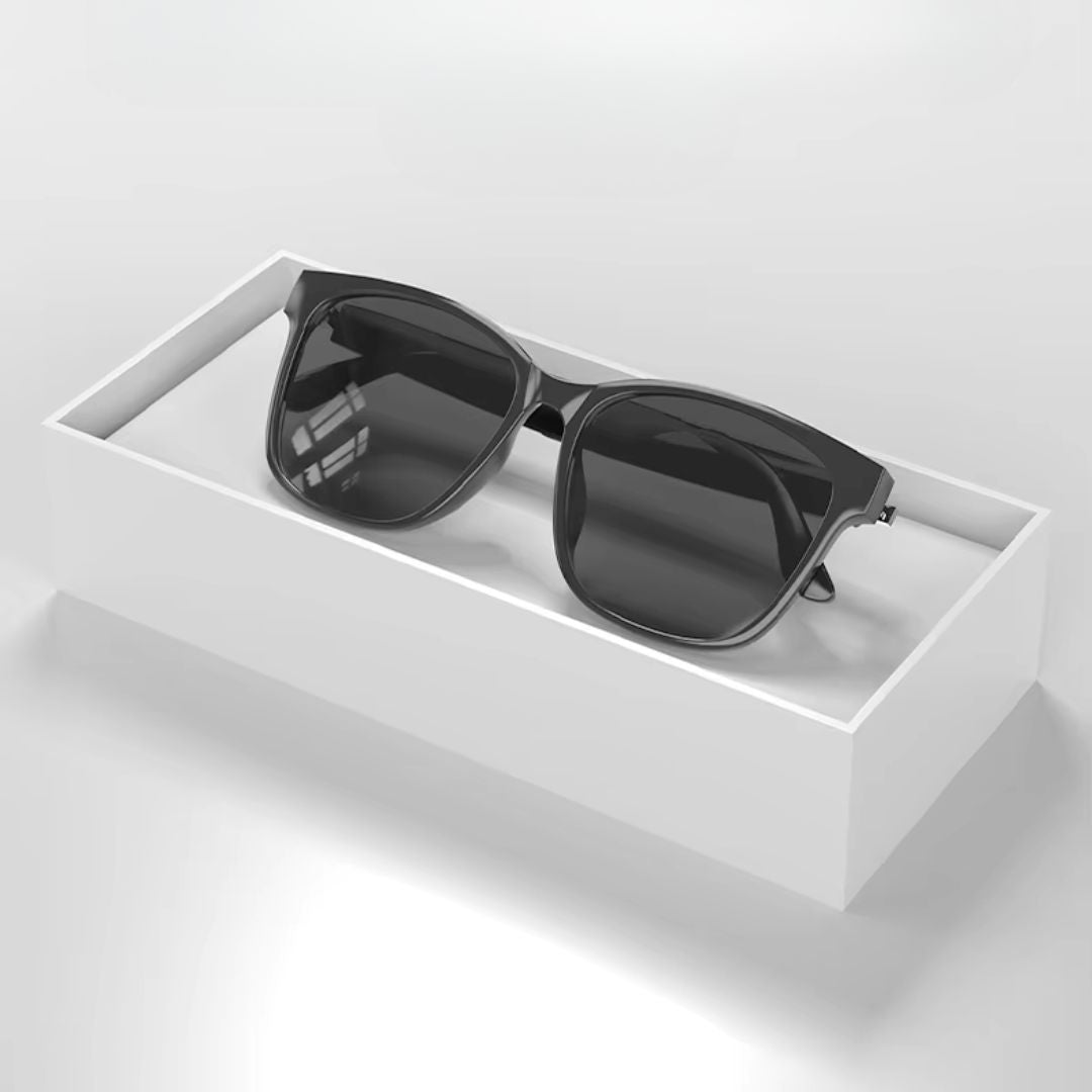 LingoVision Smarte Briller | Smartere Se, Høre Og Forbinde-zarada.dk