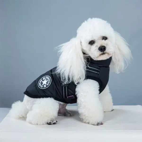 PupArmor | Vindafvisende & Reflekterende Hundevest-zarada.dk
