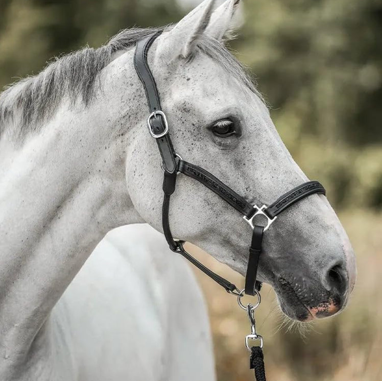 EquiTrend | 2025 Julekalender for Hesteelskere