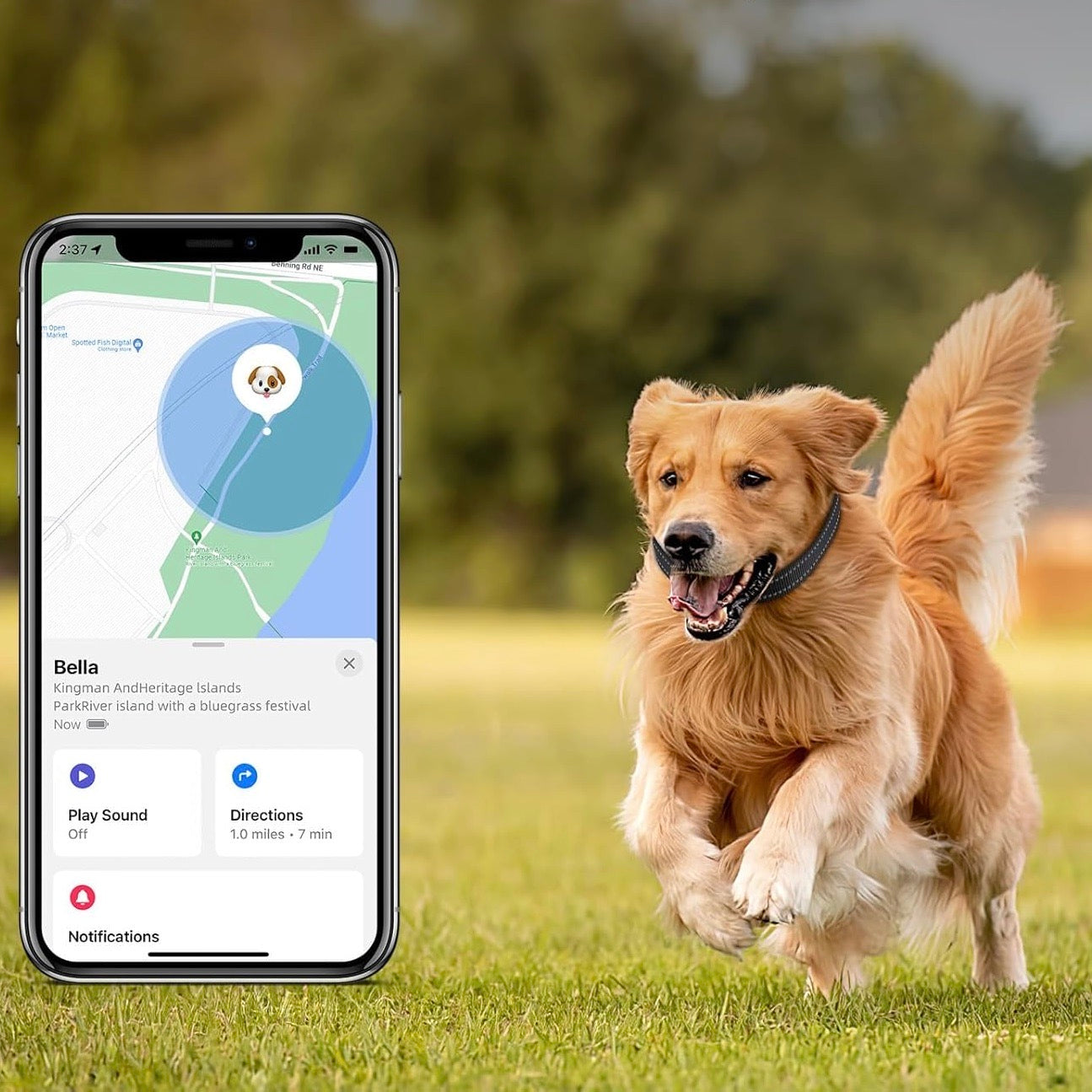 AirTag Hundehalsbånd til Sikkerhed