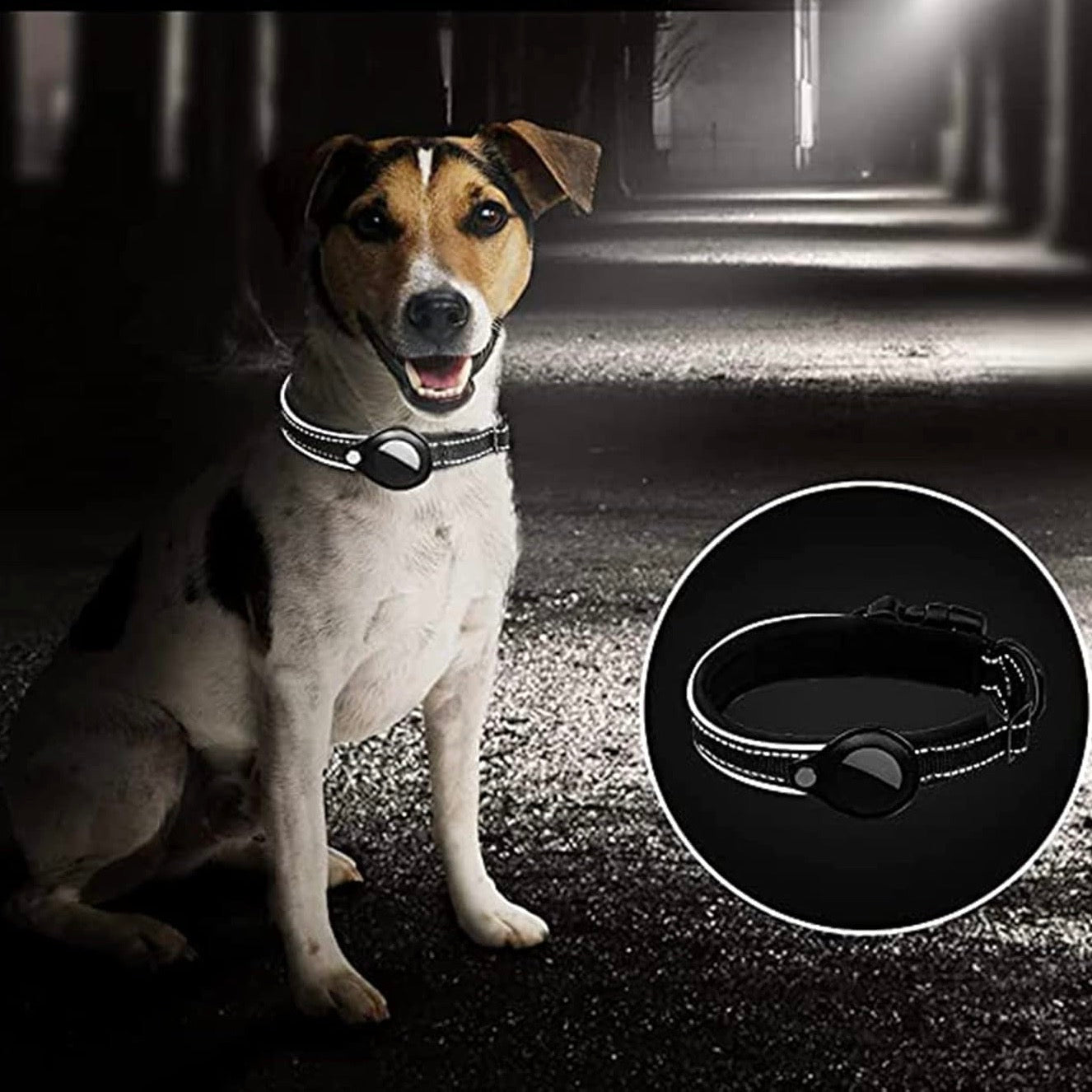 AirTag Hundehalsbånd til Sikkerhed