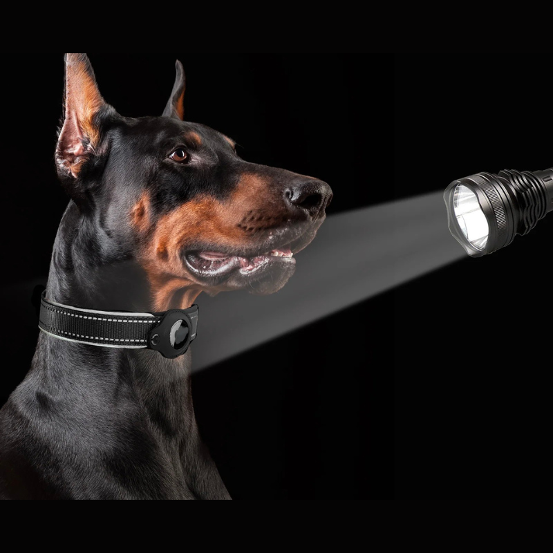 AirTag Hundehalsbånd til Sikkerhed