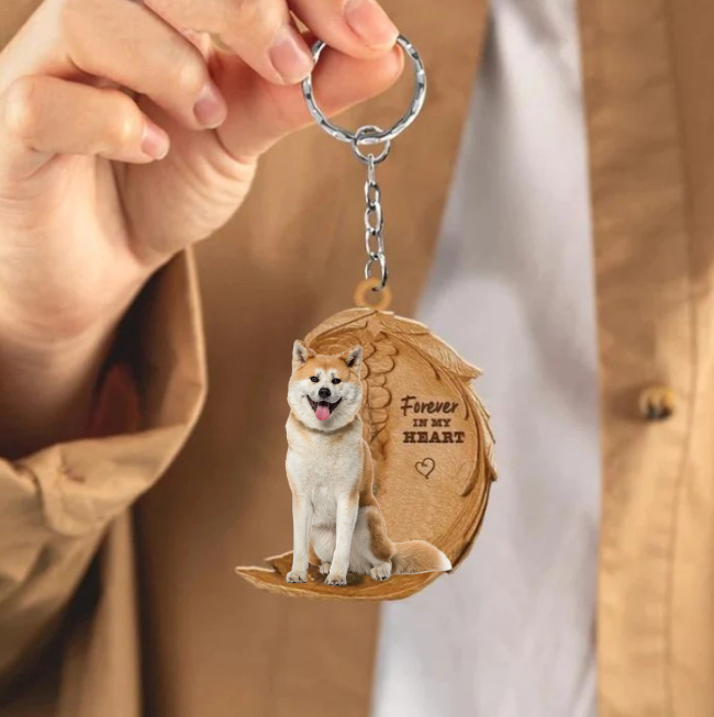 Akita | For Altid i Mit Hjerte