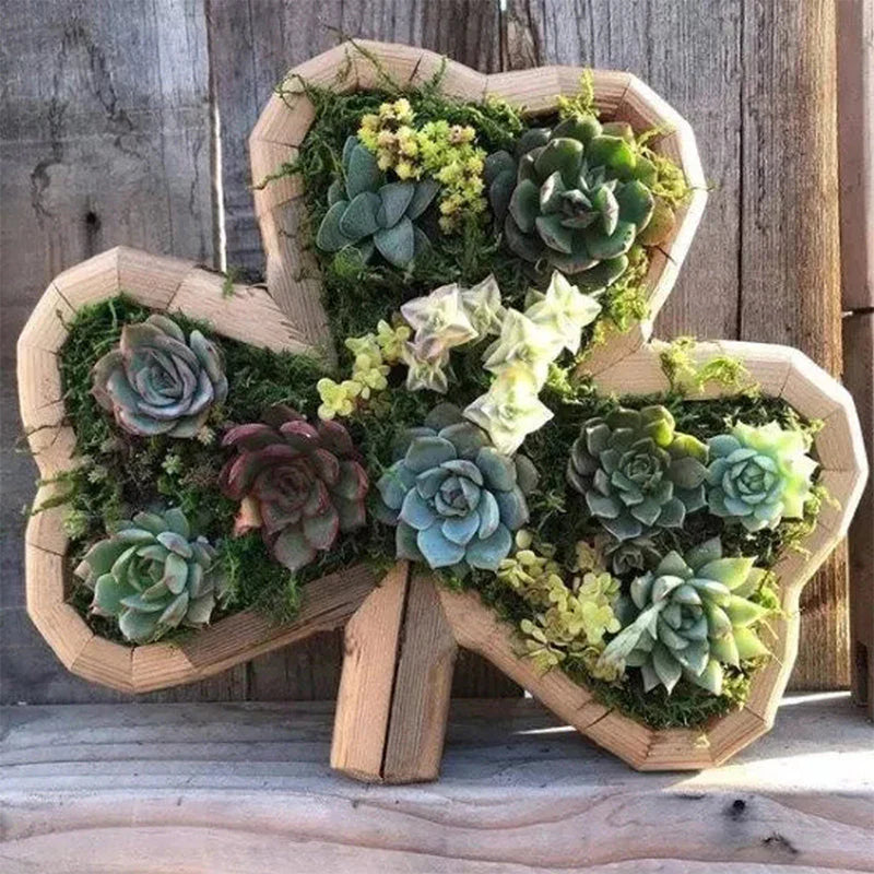 NatureCraft – Dekorative figuriner med sukkulenter til indendørs og udendørs brug
