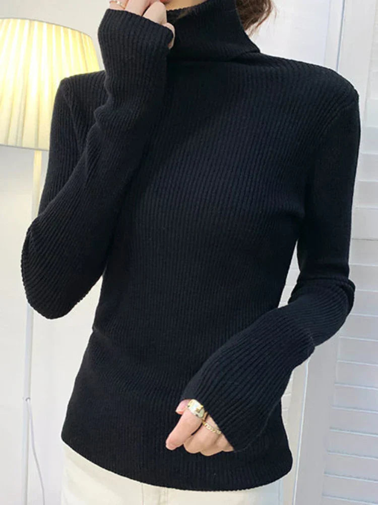 Anouschka | Blød Turtleneck til Kvinder