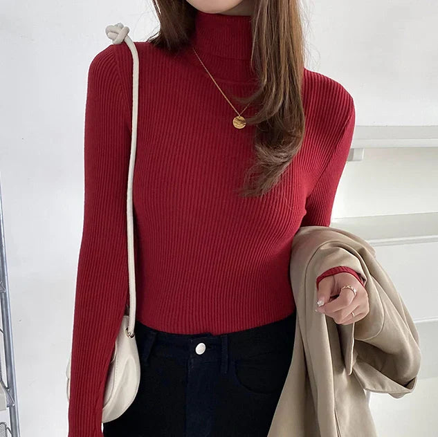 Anouschka | Blød Turtleneck til Kvinder