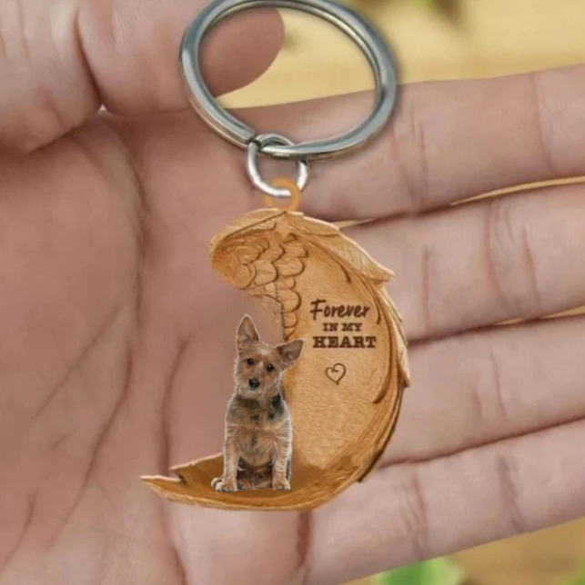 Australsk terrier | For Altid i Mit Hjerte