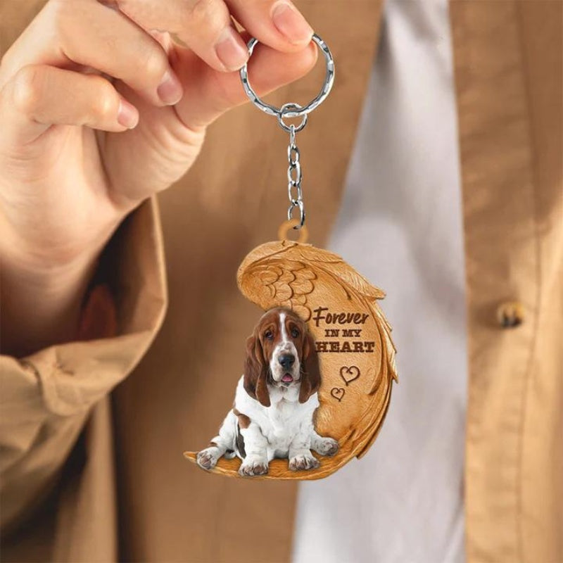 Basset Hound | For Altid i Mit Hjerte