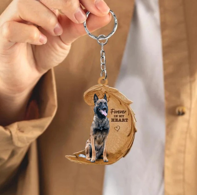 Belgisk Hyrdehund | For Altid i Mit Hjerte