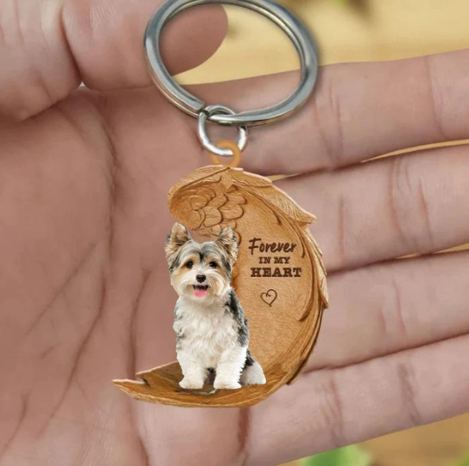 Biewer Yorkshire Terrier | For Altid i Mit Hjerte