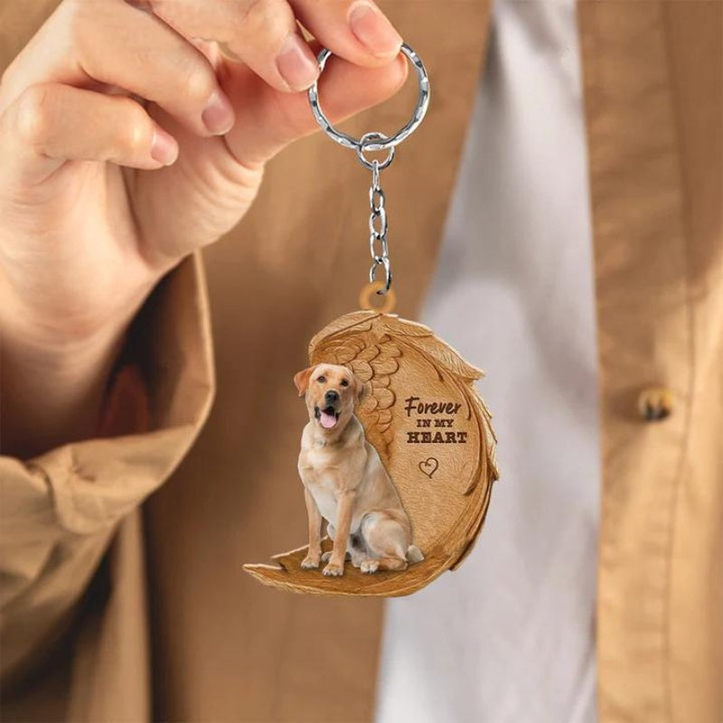 Blond Labrador Retriever | For Evigt i Mit Hjerte