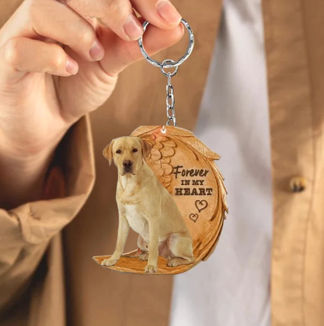 Blond Labrador | For Evigt i Mit Hjerte