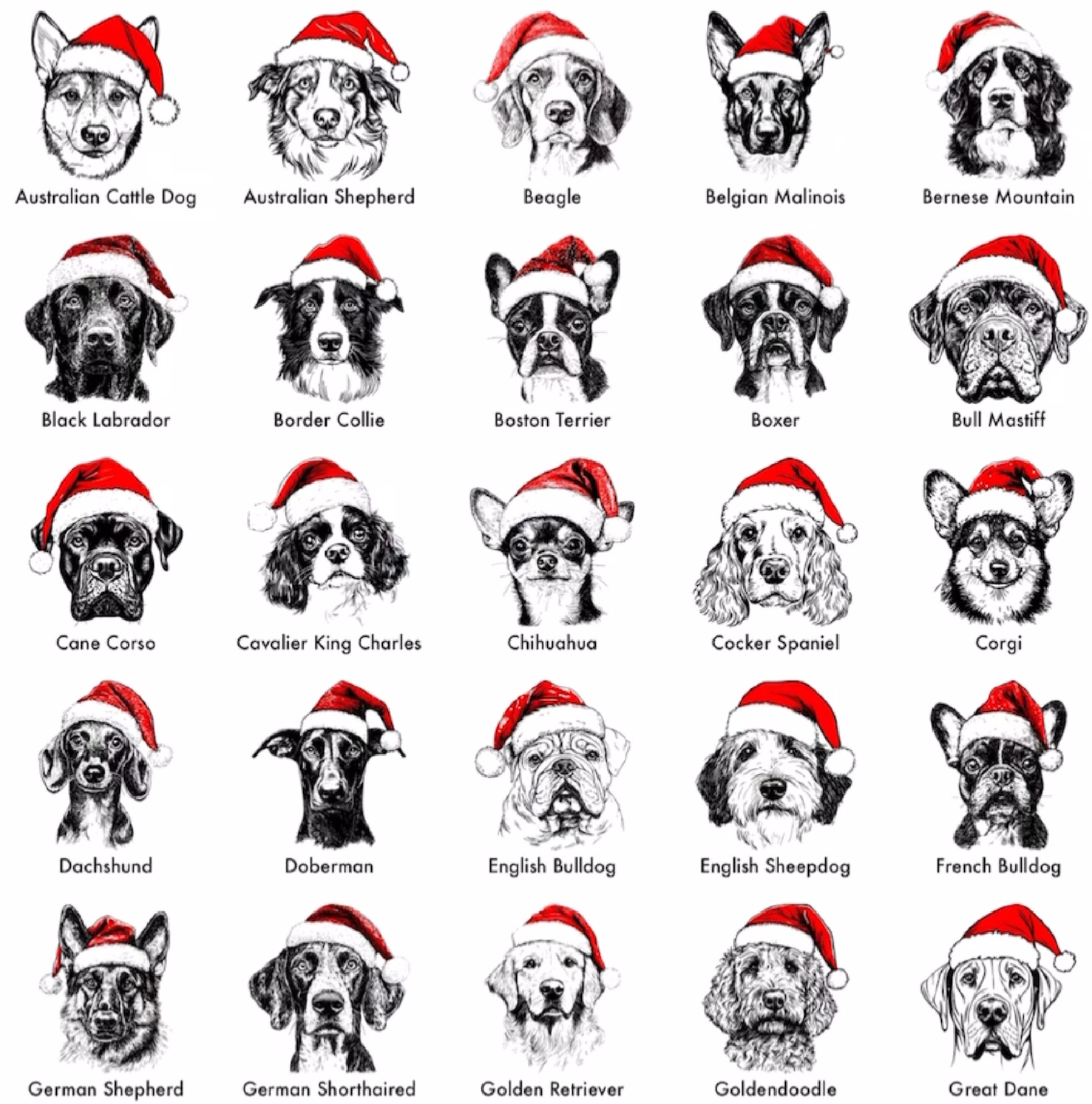 Santa Paws | Komfortabel unik julesweater med din hund