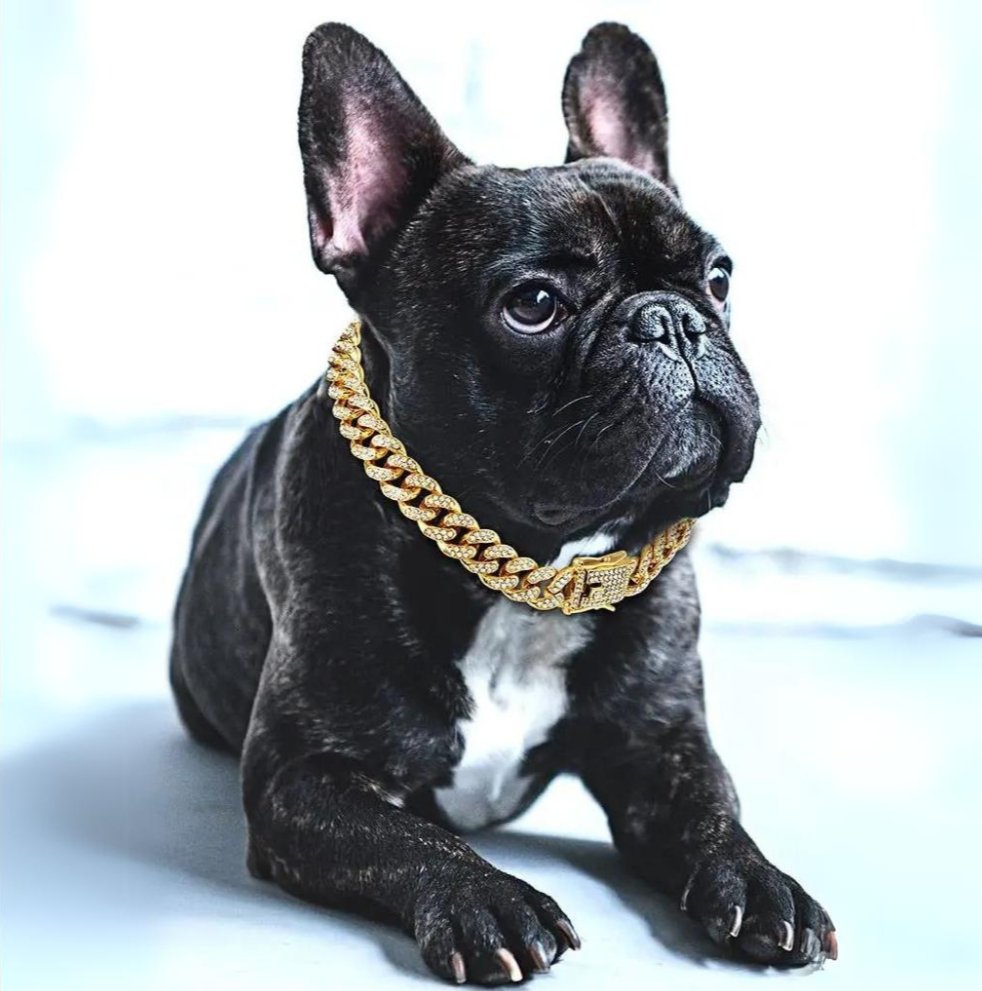 Hundehalsbånd Med Zirconia-Diamanter Til Hunde, Justerbart Design, Stilet Tilbehør