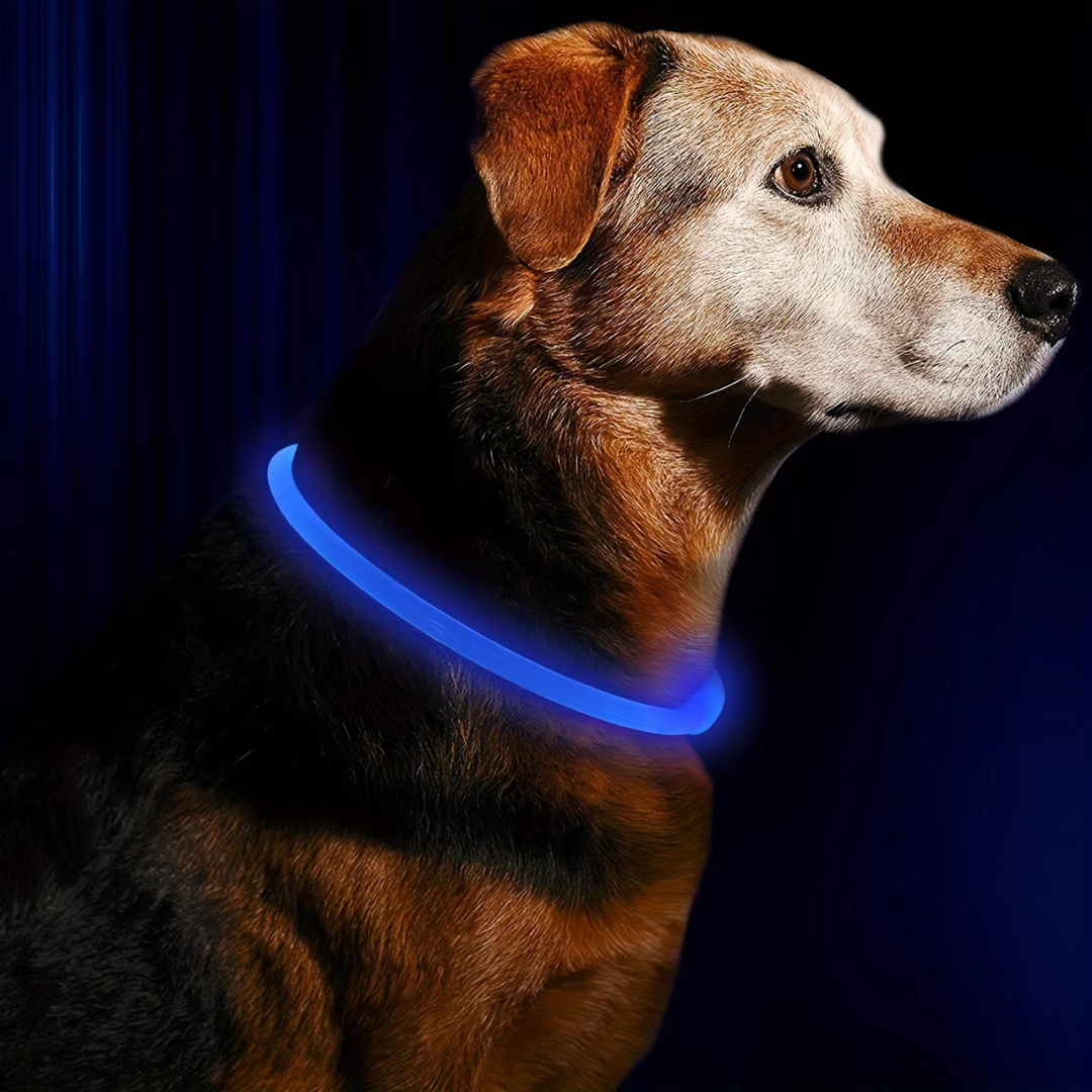 Hundehalsbånd med LED Lys til Sikkerhed
