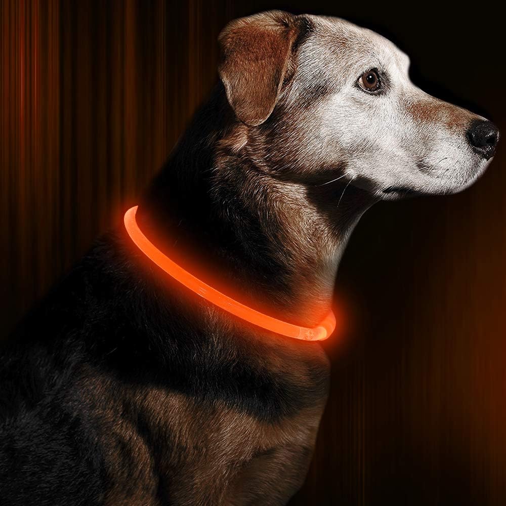 Hundehalsbånd med LED Lys til Sikkerhed