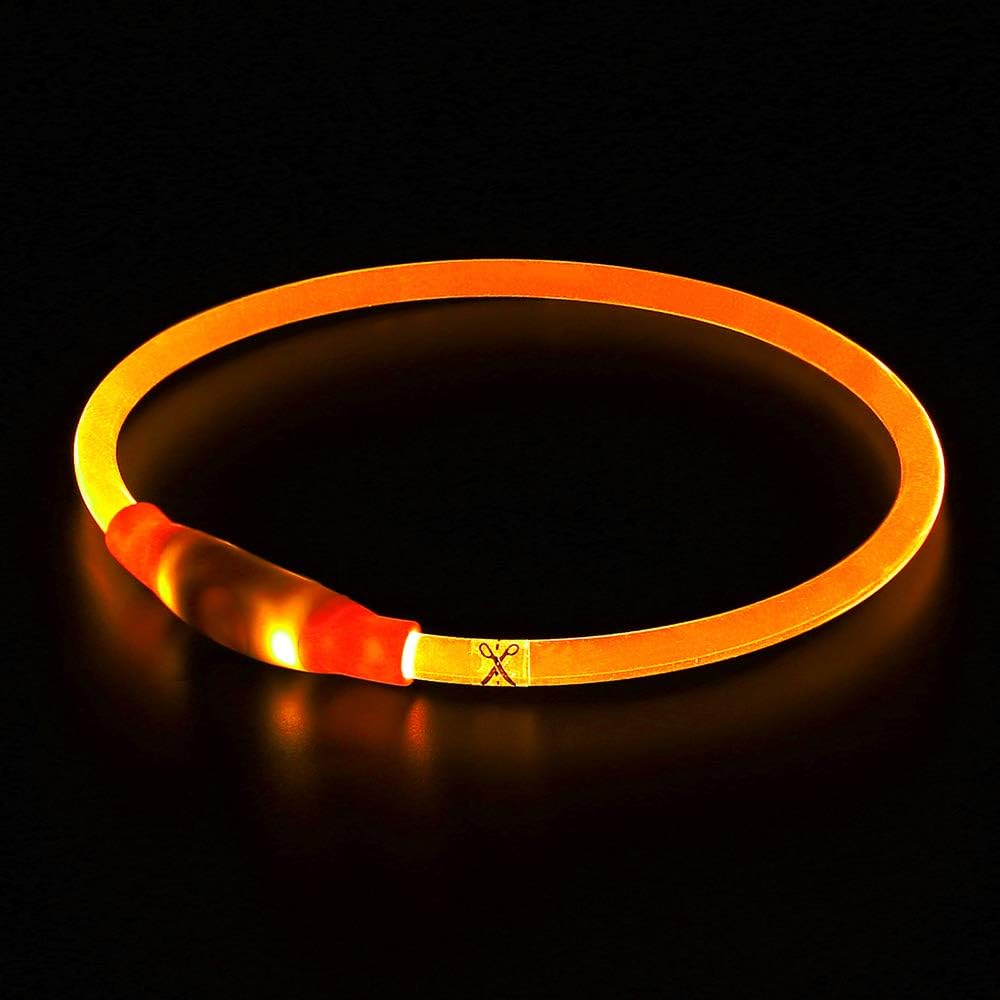 Hundehalsbånd med LED Lys til Sikkerhed