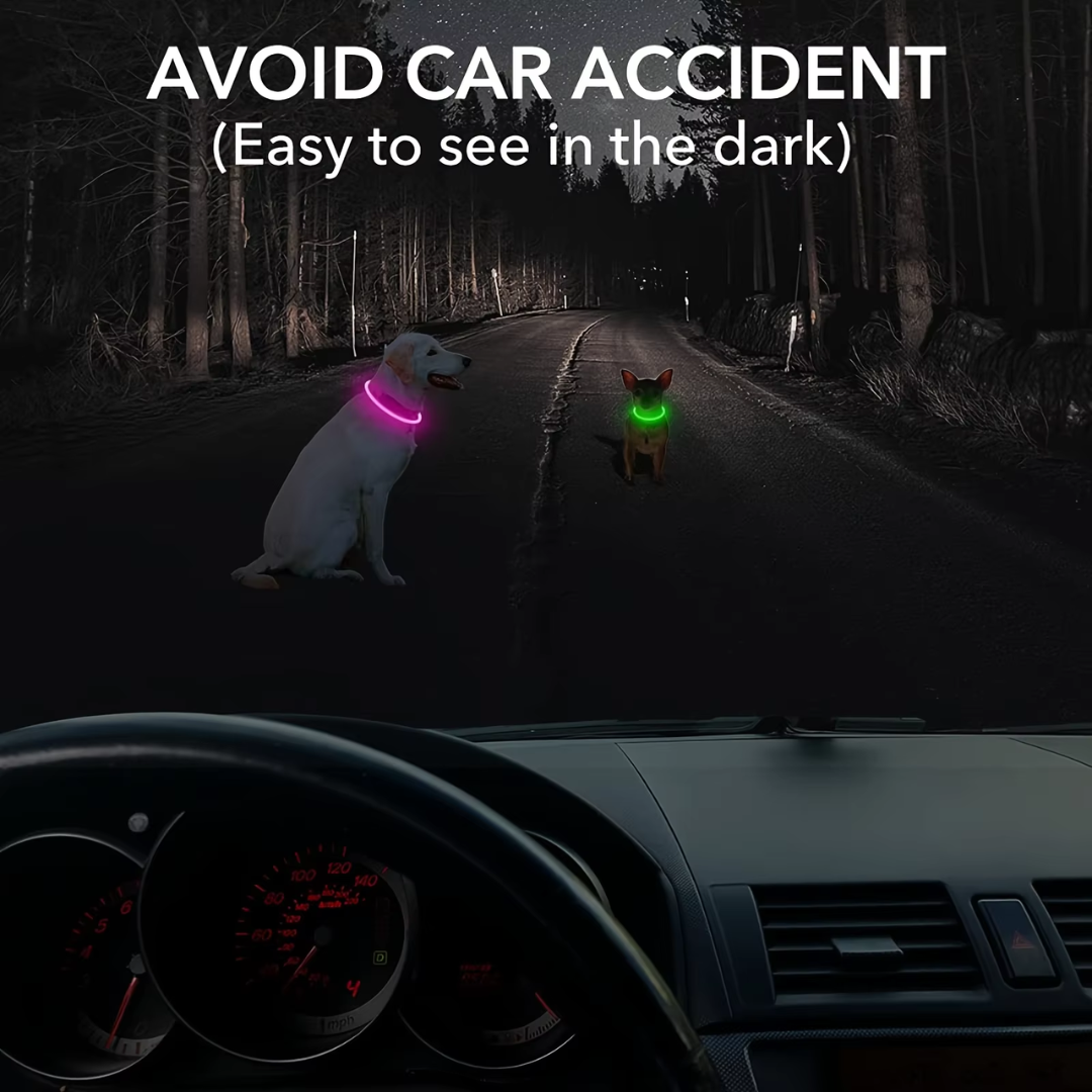 Hundehalsbånd med LED Lys til Sikkerhed