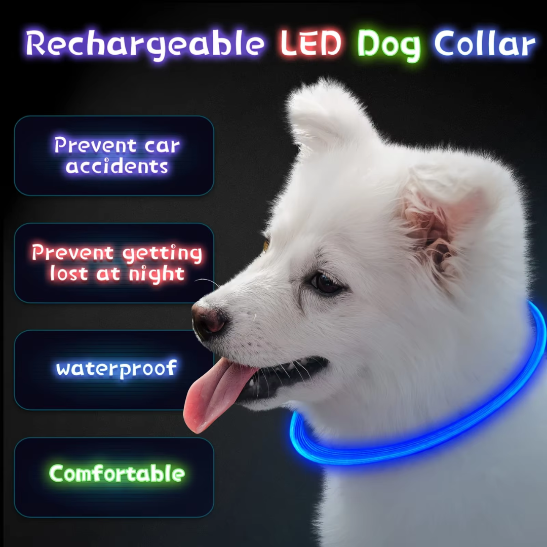 Hundehalsbånd med LED Lys til Sikkerhed