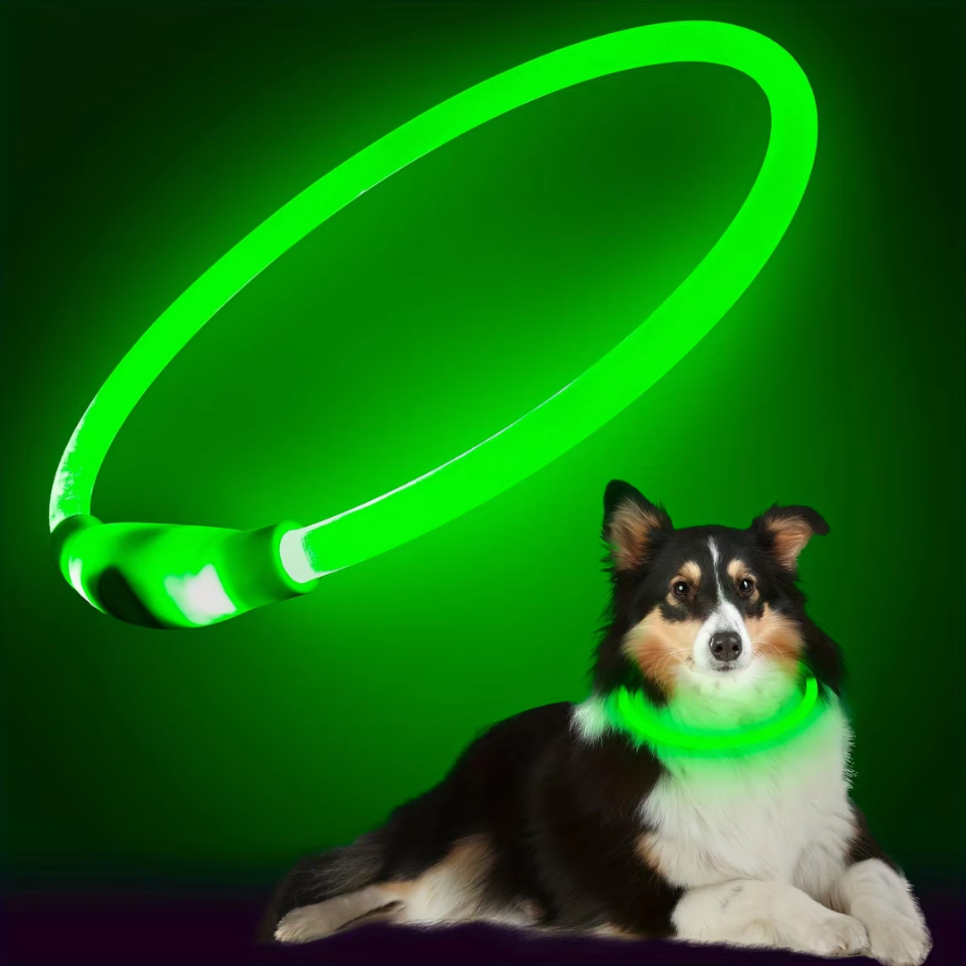 Hundehalsbånd med LED Lys til Sikkerhed