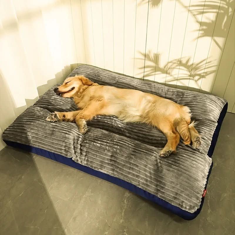 Hundeseng Ortopædisk Design til Komfort