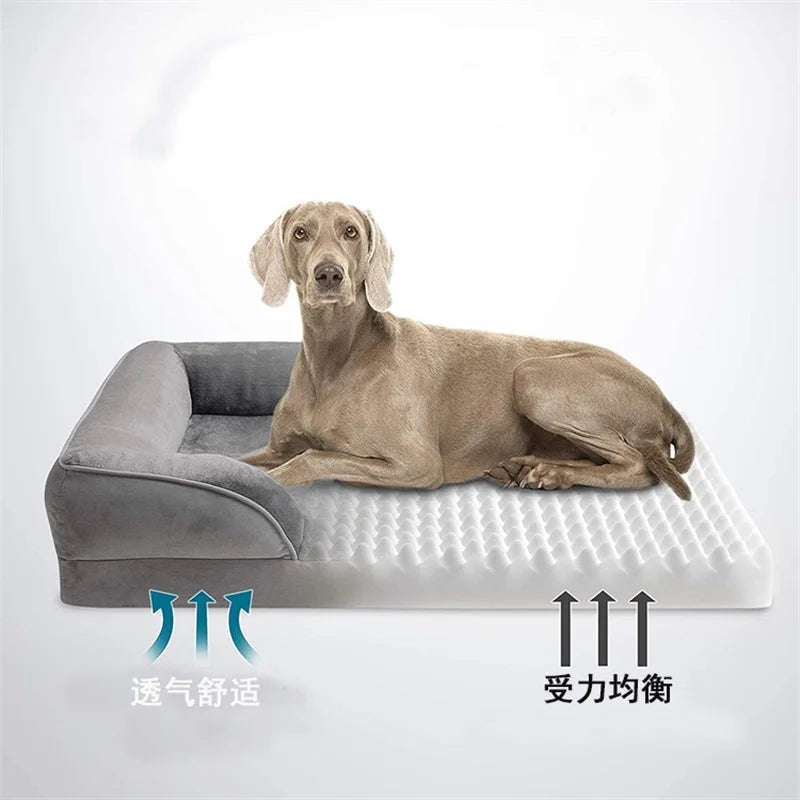 Hundesofa Komfortabel Design Indendørs