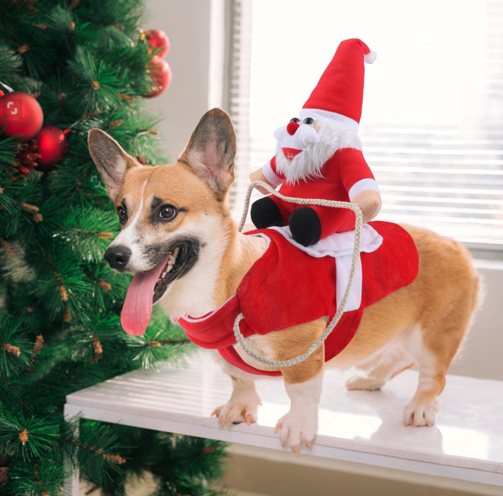 Hundetøj Juleoutfit Festligt Design til Hunde