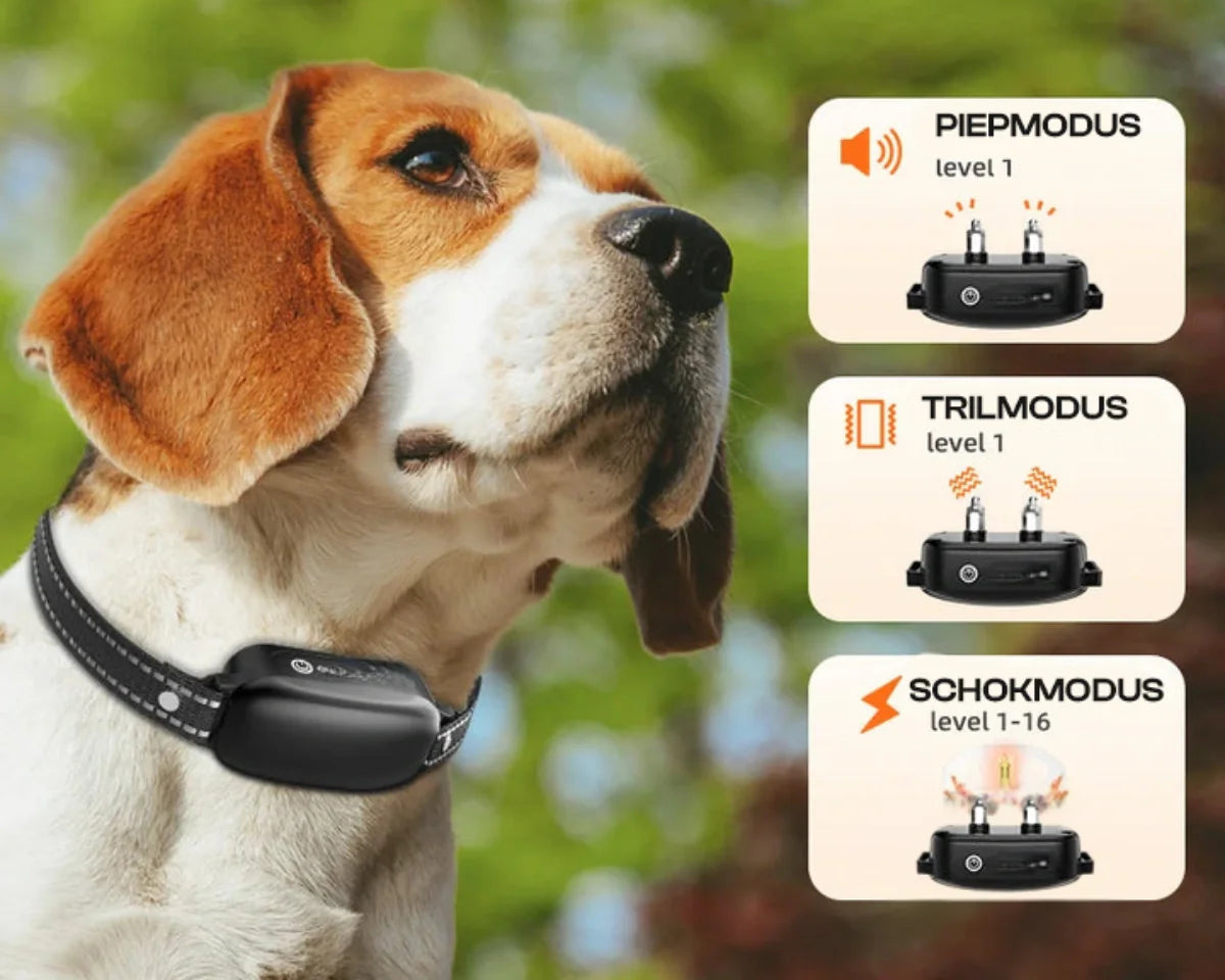 Hundetræningshalsbånd med Fjernbetjening og Vandtæt Design