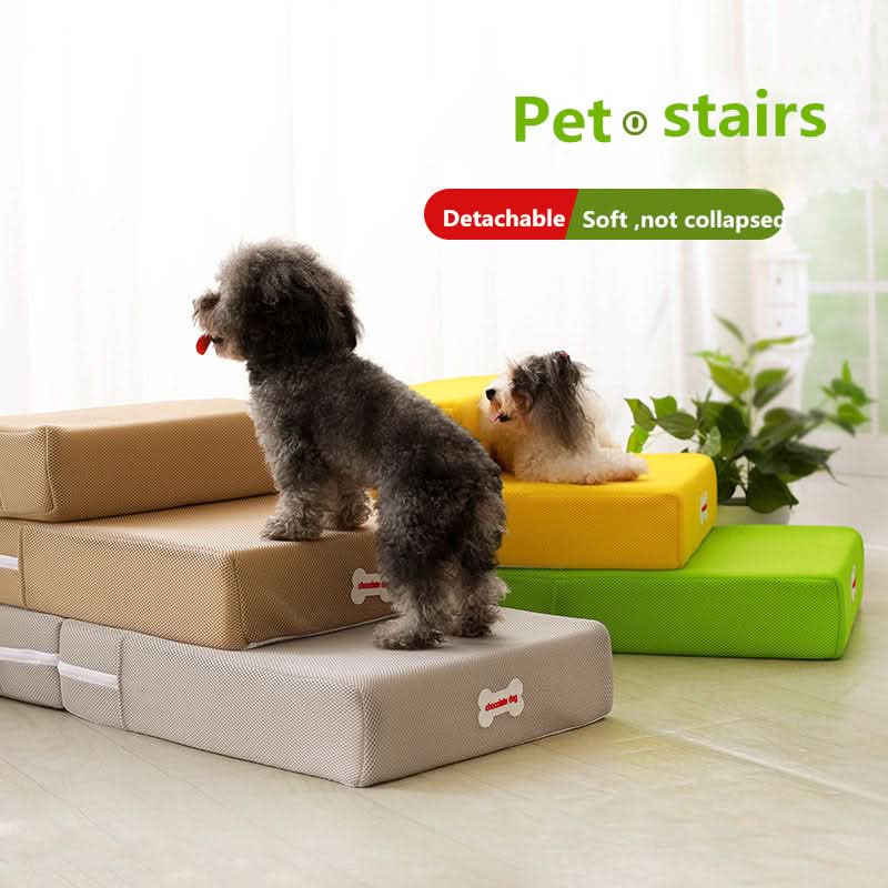 Hundetrin til Sofa og Seng