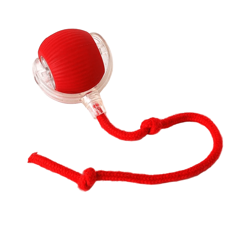 Interaktiv Hundebold med Automatisk Bevægelse